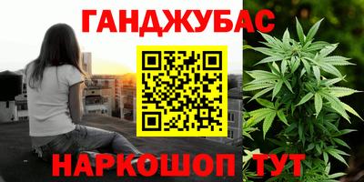 молекула духа Будённовск