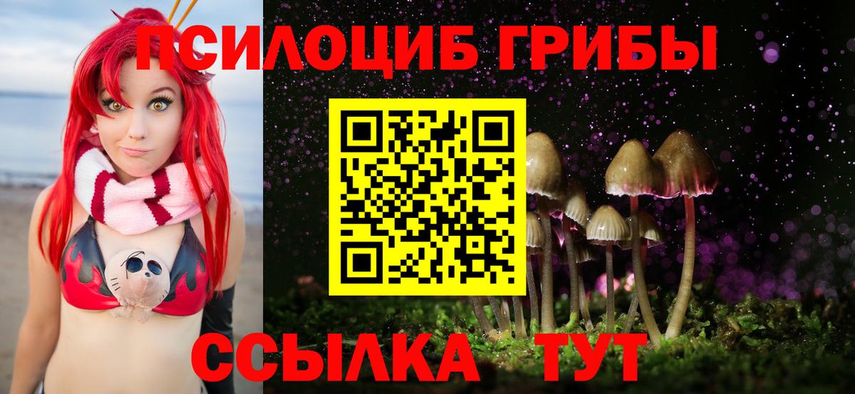 Галлюциногенные грибы Psilocybine cubensis  Галлюциногенные грибы Psilocybe  Вход с VPN  Тейково 